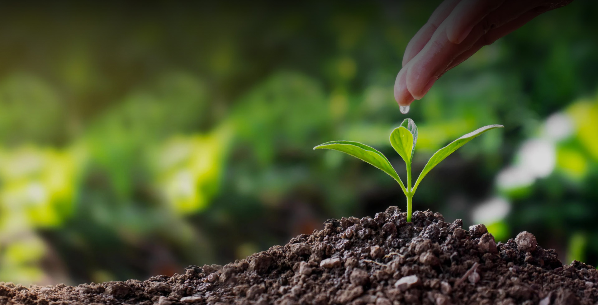 中文字幕一区二区人妻电影