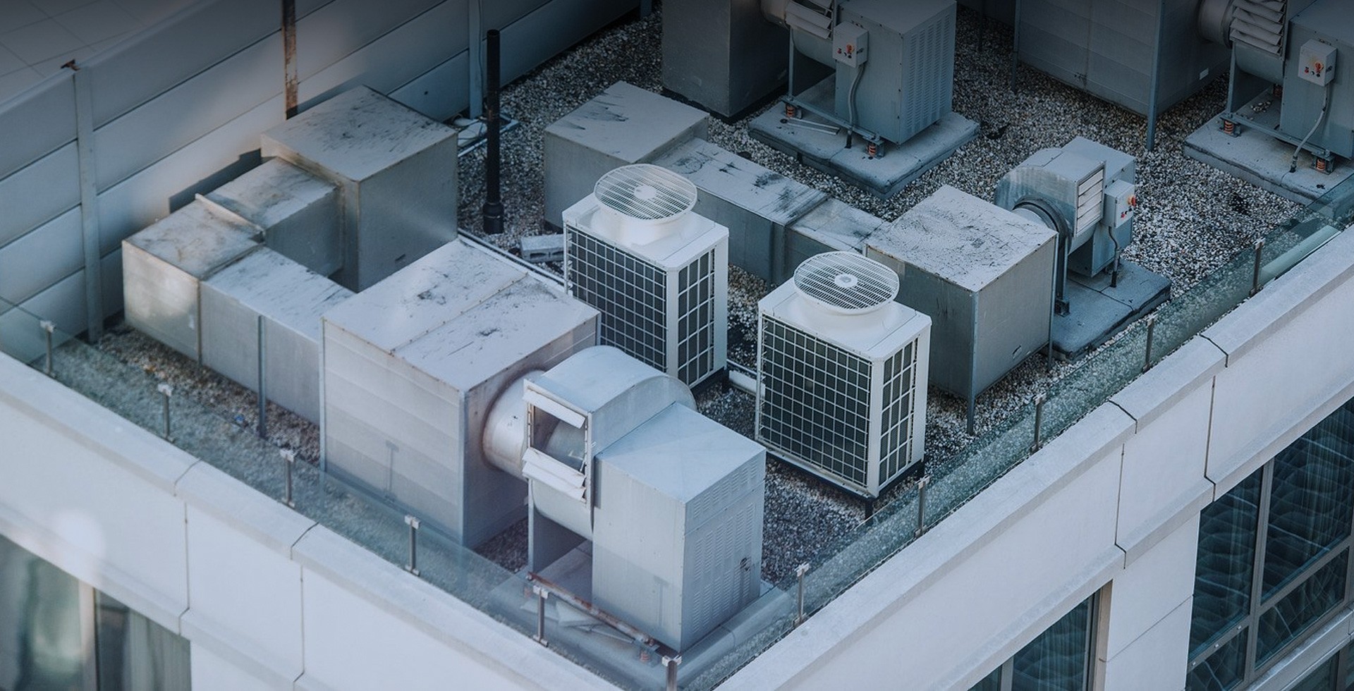 中文字幕一区二区人妻电影